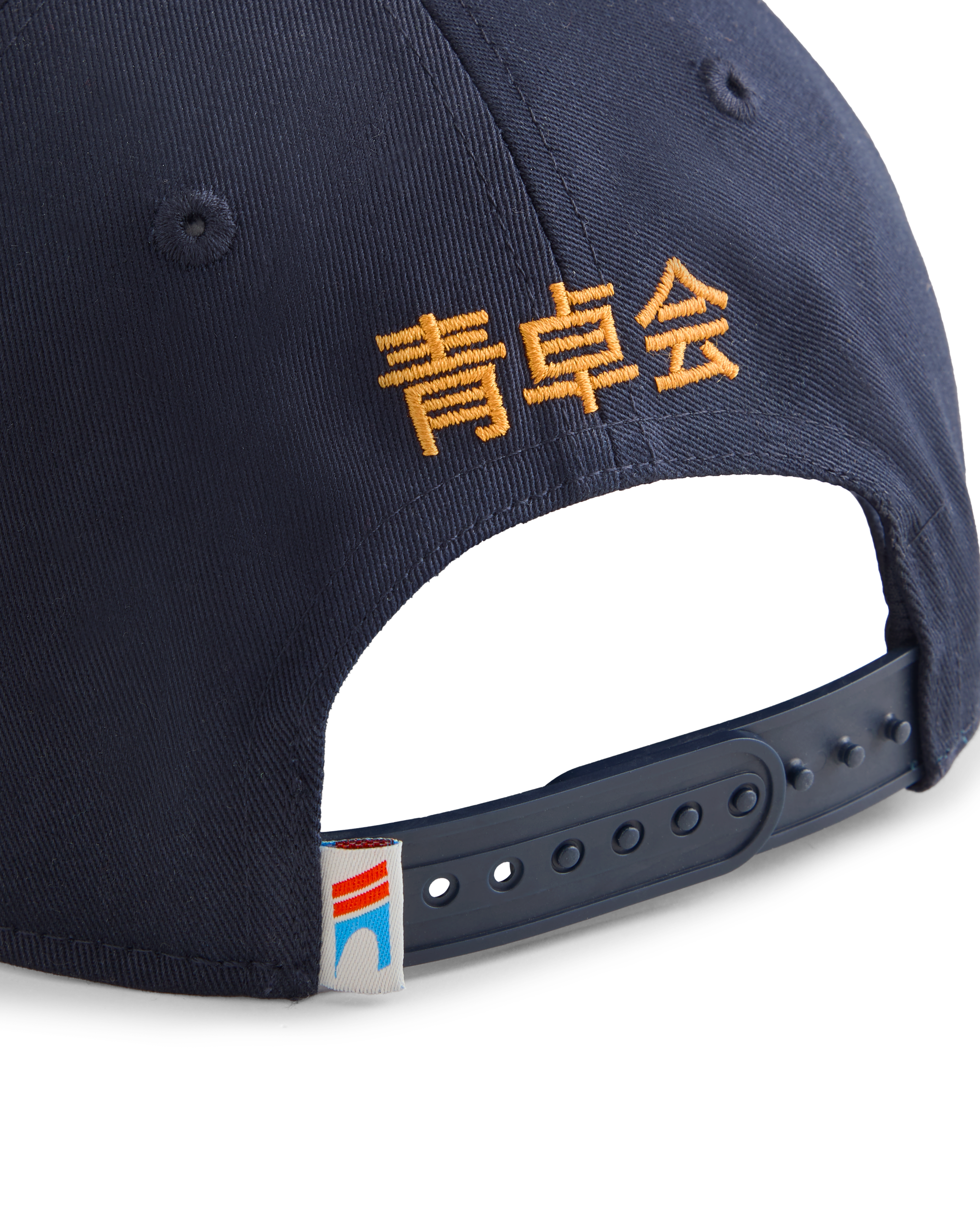 TEAM SEITAKUKAI CAP
